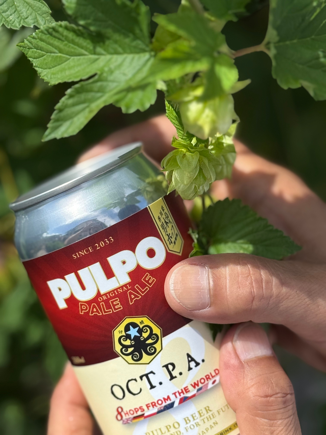 香川県男木島産ホップを使用したクラフトビール『OCT.P.A.』をリリース