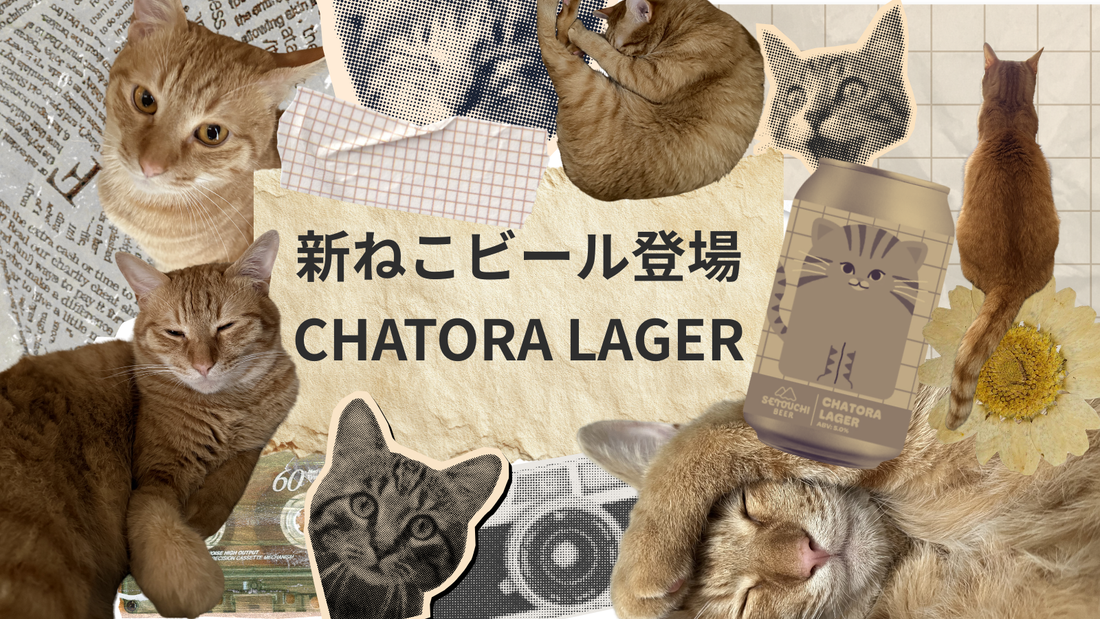 新ねこビール登場 2作目はラガー