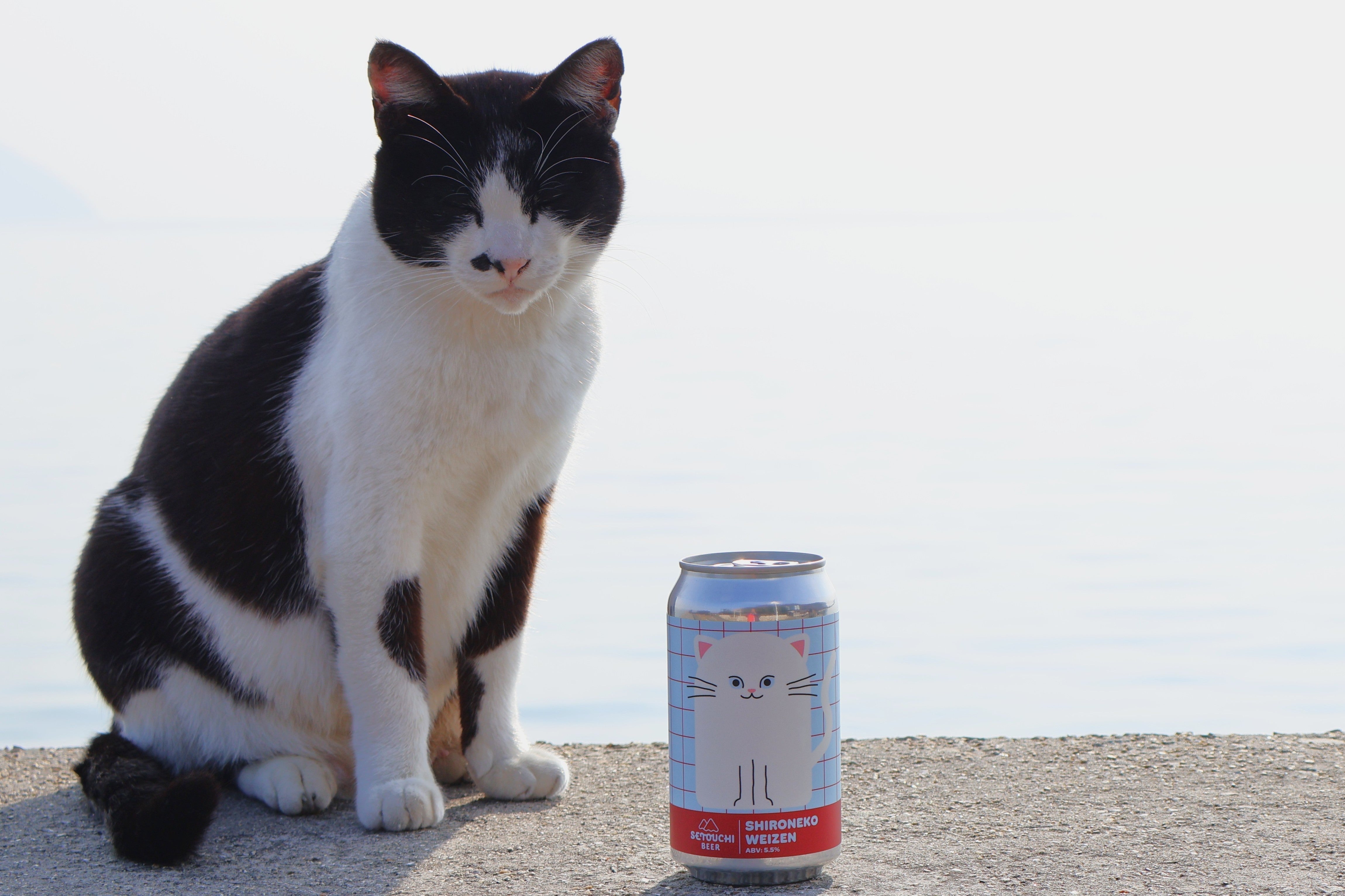 愛猫柄に“落書き”カスタム! SHIRONEKO WEIZENを発売 – SETOUCHI BEER