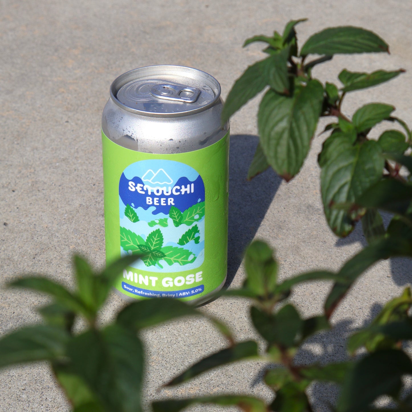 SETOUCHI MINT GOSE