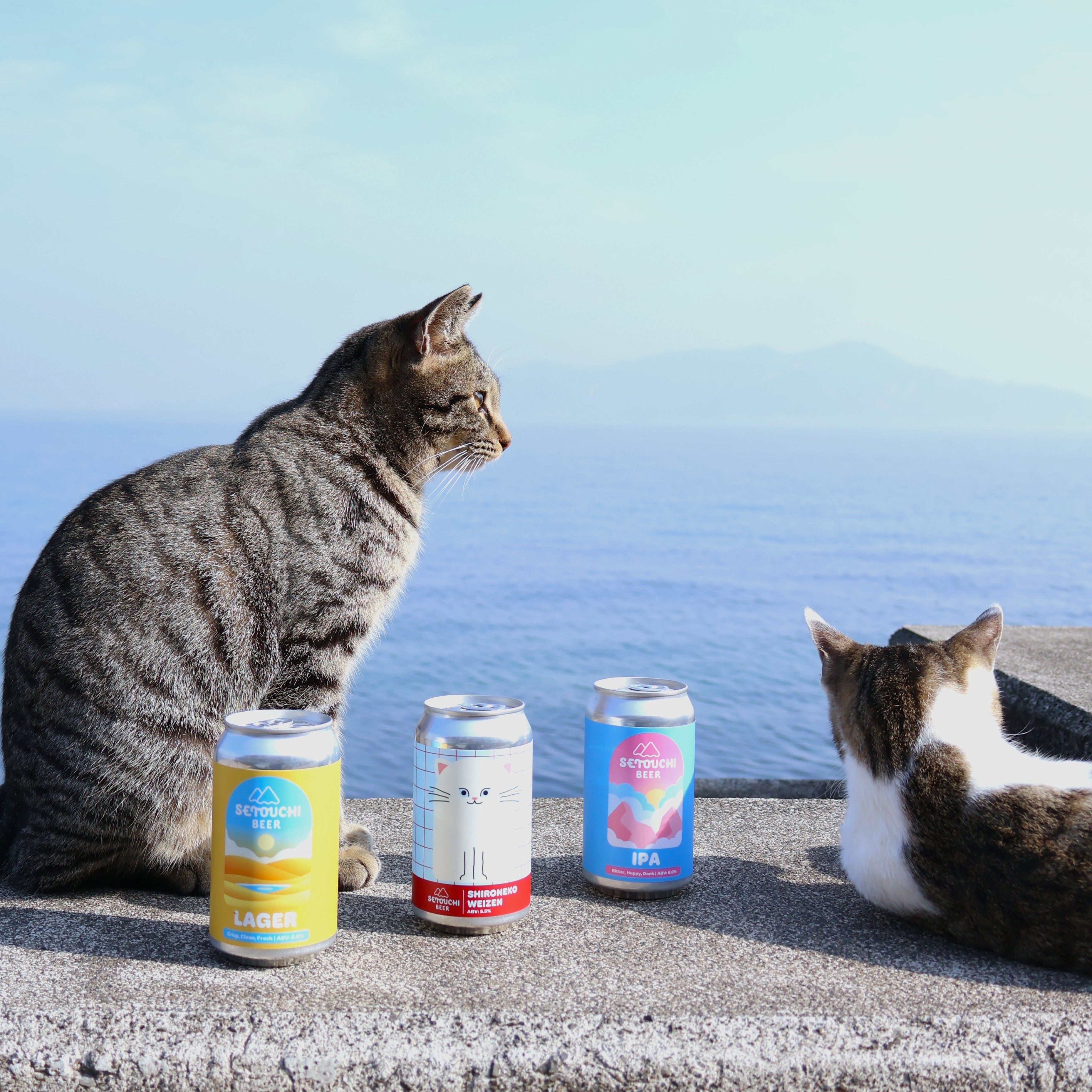1/22販売開始>しろねこ&定番 6缶セット – SETOUCHI BEER